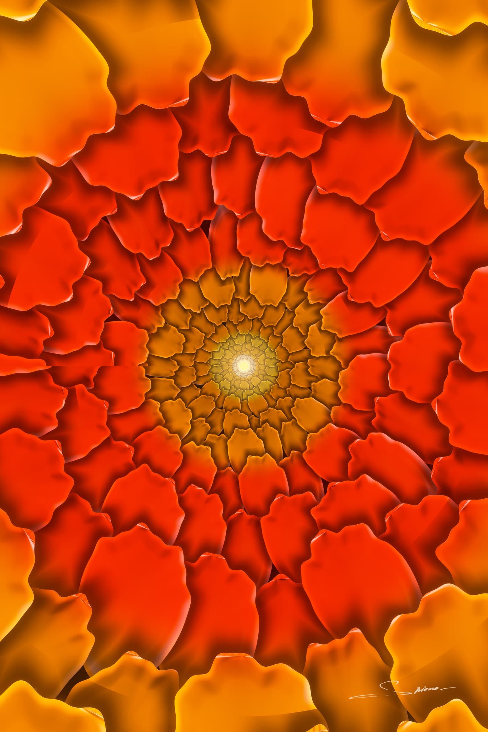 Bloom Forever